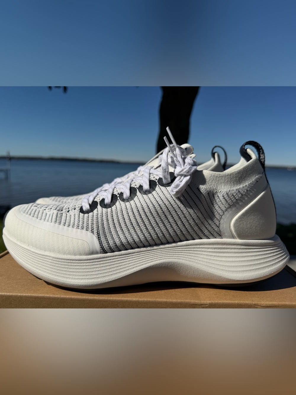 NEW - Allbirds Stride Athletic Sneakers in Grey and White